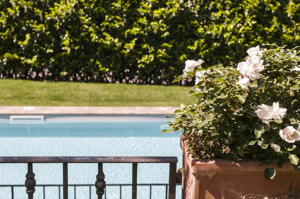 Relais Victoria B&B San Macario In Piano エクステリア 写真