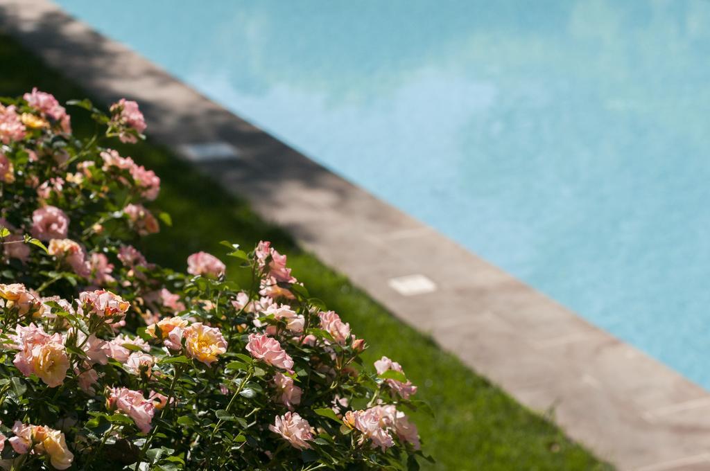 Relais Victoria B&B San Macario In Piano エクステリア 写真